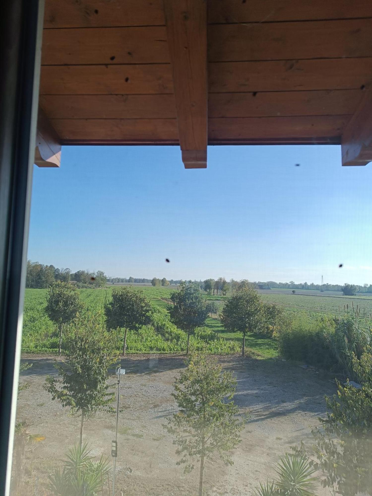 Agriturismo le Fontanelle Montichiari Esterno foto